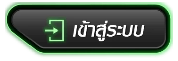 เข้าสู่ระบบ (12)